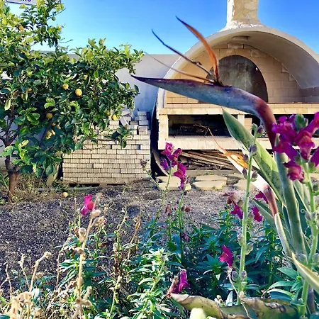 בקתה Domus Tilibbas - Klodge אולביה